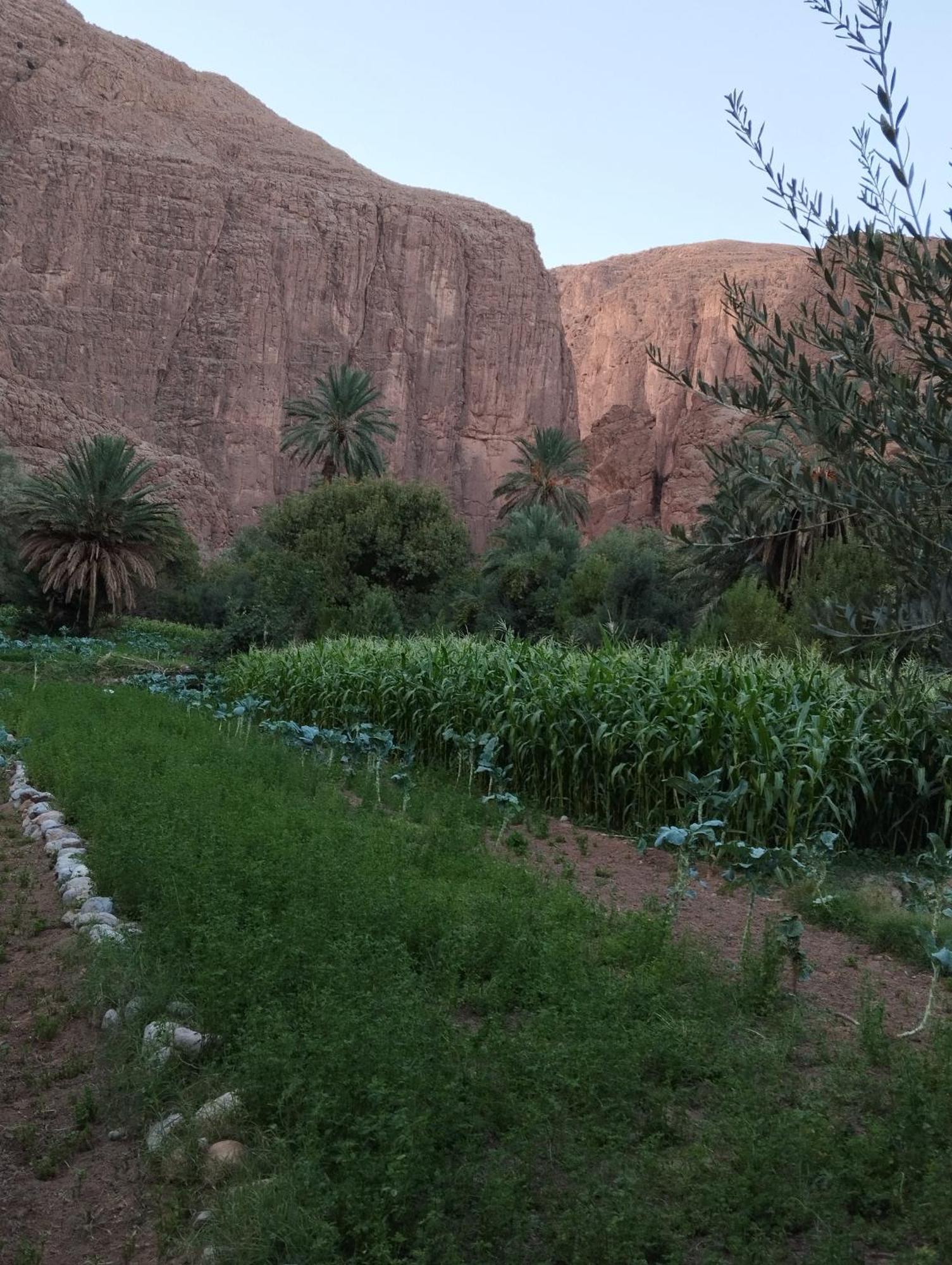 Riad La Fleur Aït Baha Buitenkant foto